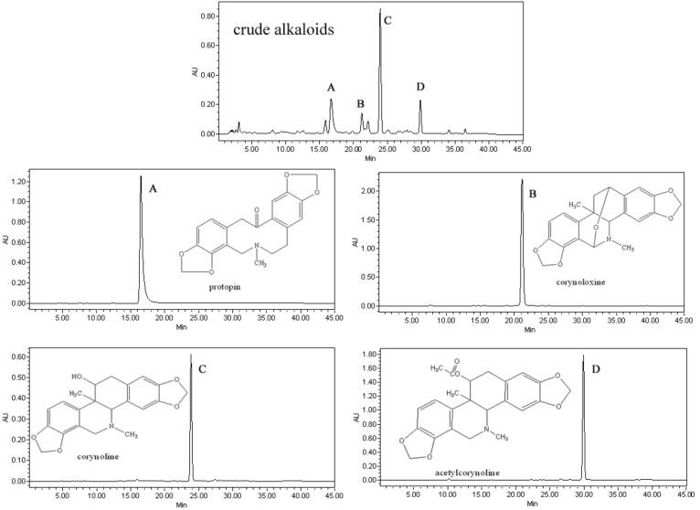 https://cdn.ncbi.nlm.nih.gov/pmc/blobs/9cbc/6268814/92fe975c87ee/molecules-17-14968-g002.jpg
