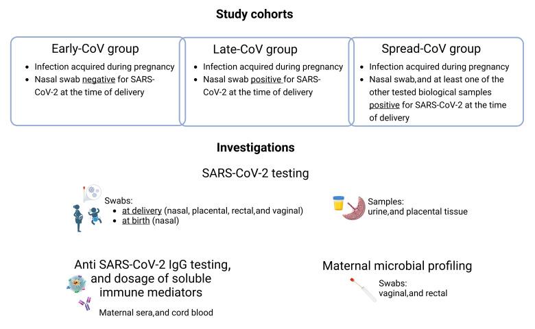 https://cdn.ncbi.nlm.nih.gov/pmc/blobs/9cc0/11050260/4758173e384d/ijms-25-04298-g005.jpg