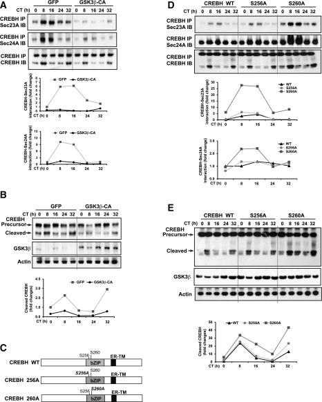 https://cdn.ncbi.nlm.nih.gov/pmc/blobs/9cc2/5079639/feb24493887f/db160298f4.jpg