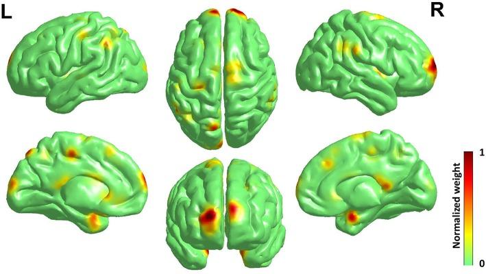 https://cdn.ncbi.nlm.nih.gov/pmc/blobs/9cc7/6374327/f6b9c614db90/fnhum-13-00029-g0004.jpg