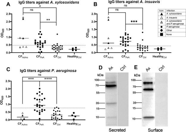 https://cdn.ncbi.nlm.nih.gov/pmc/blobs/9cc8/12108089/6cdc4ae3a5ab/msphere.00233-25.f001.jpg