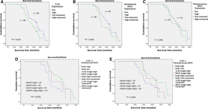 https://cdn.ncbi.nlm.nih.gov/pmc/blobs/9ccc/7714063/787dc35bb7ac/FEB4-10-2687-g002.jpg