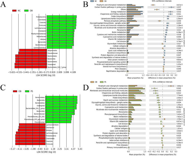 https://cdn.ncbi.nlm.nih.gov/pmc/blobs/9cd0/12055551/764c6ac1535c/fmicb-16-1554537-g003.jpg