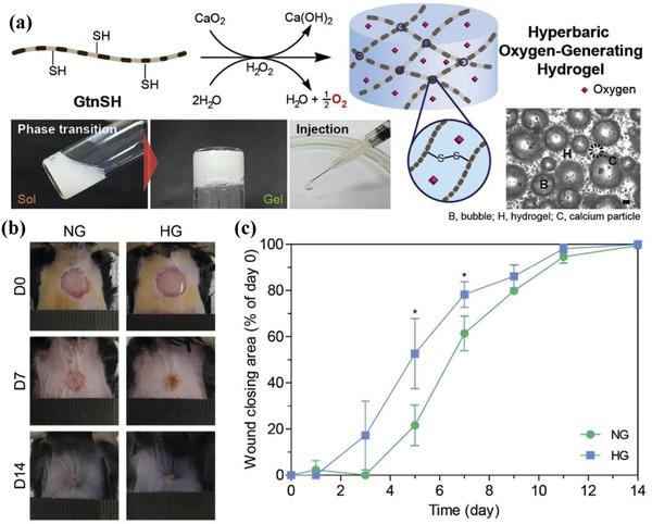 https://cdn.ncbi.nlm.nih.gov/pmc/blobs/9cd1/7788501/1f1d4a96835d/ADVS-8-2000494-g011.jpg