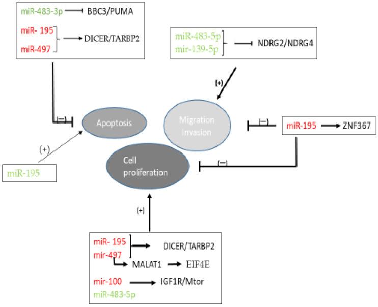 https://cdn.ncbi.nlm.nih.gov/pmc/blobs/9cd2/8614733/b3793a198e07/biomedicines-09-01501-g002.jpg