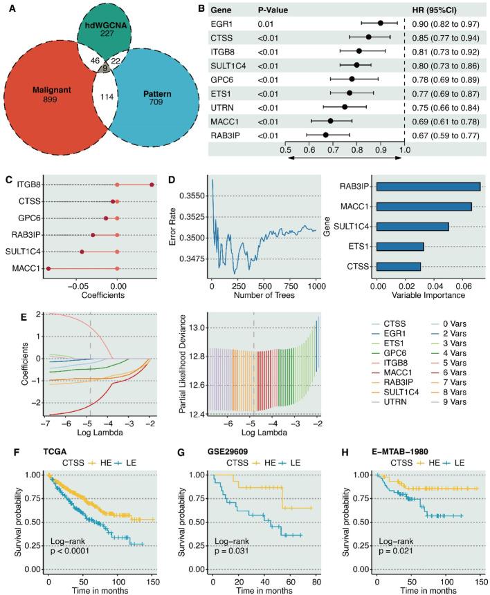 https://cdn.ncbi.nlm.nih.gov/pmc/blobs/9cd3/12307852/682dc53421f0/12672_2025_3267_Fig3_HTML.jpg
