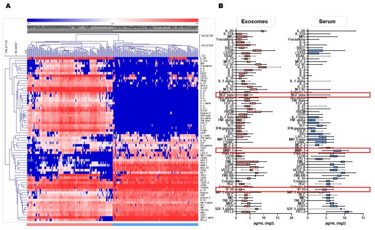 https://cdn.ncbi.nlm.nih.gov/pmc/blobs/9cd3/8582365/f97756b4523c/cancers-13-05260-g002.jpg