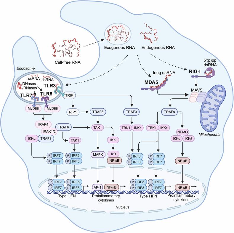 https://cdn.ncbi.nlm.nih.gov/pmc/blobs/9cd4/11920230/35fb3d199a11/41392_2025_2174_Fig3_HTML.jpg
