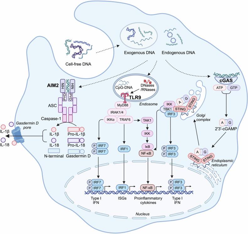 https://cdn.ncbi.nlm.nih.gov/pmc/blobs/9cd4/11920230/d13b431c4c74/41392_2025_2174_Fig2_HTML.jpg