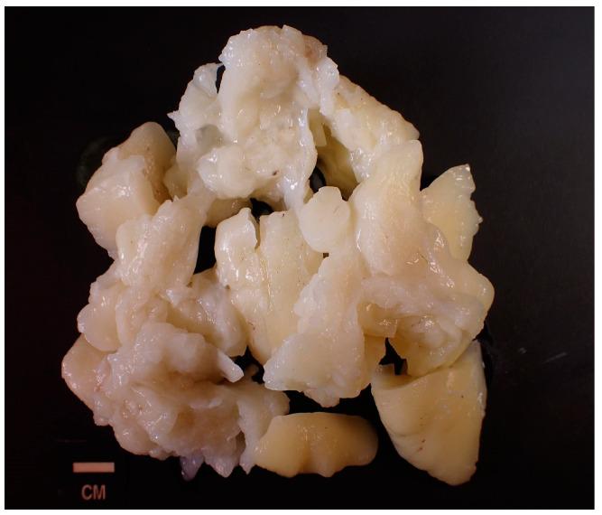 https://cdn.ncbi.nlm.nih.gov/pmc/blobs/9cd4/12225420/1db81c57976a/reports-07-00058-g003.jpg