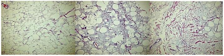 https://cdn.ncbi.nlm.nih.gov/pmc/blobs/9cd4/12225420/b7d8bce3439d/reports-07-00058-g004.jpg