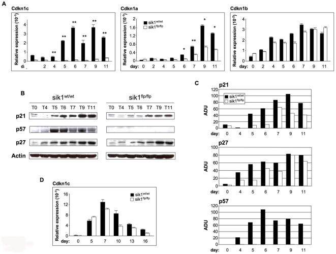 https://cdn.ncbi.nlm.nih.gov/pmc/blobs/9cd4/2815785/8e3ed891313c/pone.0009029.g006.jpg