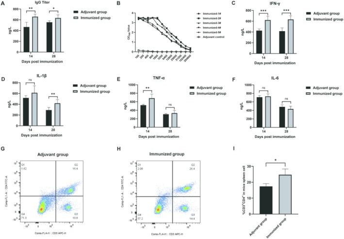 https://cdn.ncbi.nlm.nih.gov/pmc/blobs/9cd5/12117355/00c62026cb20/FSB2-39-e70676-g004.jpg
