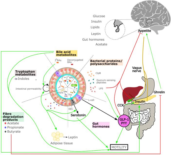 https://cdn.ncbi.nlm.nih.gov/pmc/blobs/9cd5/8829807/025895244eda/gr2.jpg