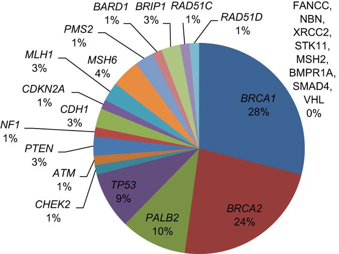 https://cdn.ncbi.nlm.nih.gov/pmc/blobs/9cd6/5685290/449469530de7/npjgenmed20153-f2.jpg