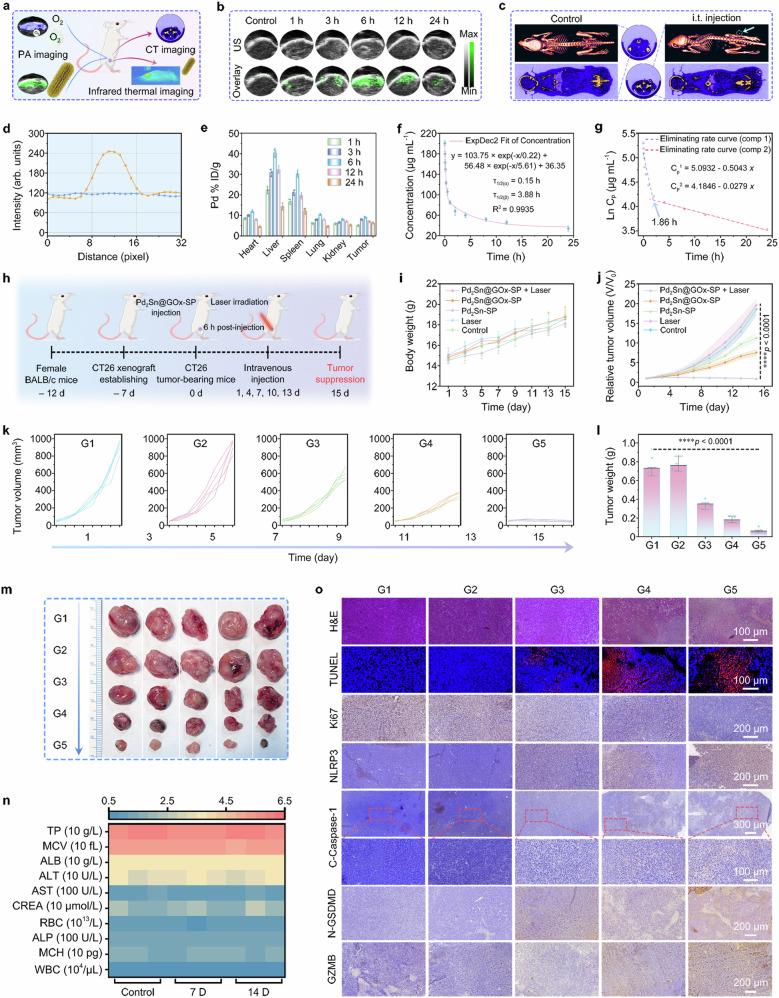 https://cdn.ncbi.nlm.nih.gov/pmc/blobs/9cd9/11461493/5448646c826a/41467_2024_53135_Fig6_HTML.jpg