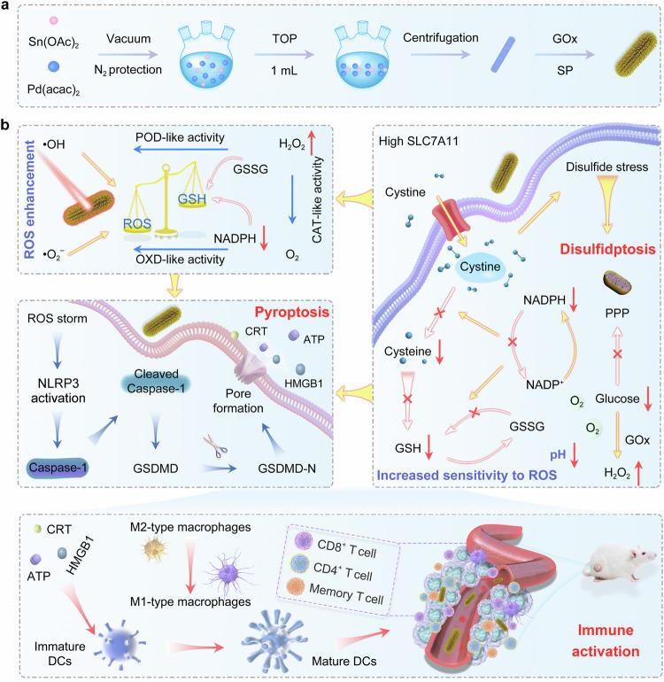 https://cdn.ncbi.nlm.nih.gov/pmc/blobs/9cd9/11461493/7d8d3b5f0e73/41467_2024_53135_Fig1_HTML.jpg