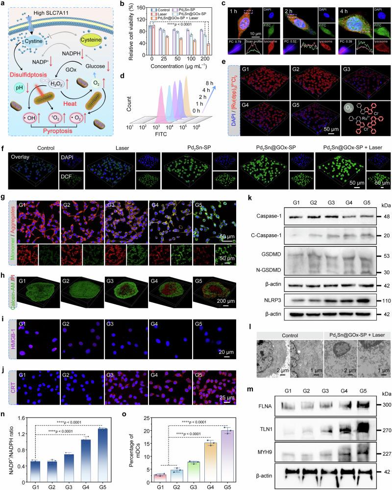 https://cdn.ncbi.nlm.nih.gov/pmc/blobs/9cd9/11461493/fdc39fa70547/41467_2024_53135_Fig5_HTML.jpg