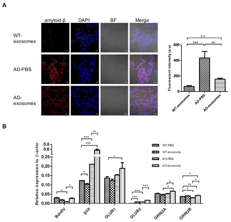 https://cdn.ncbi.nlm.nih.gov/pmc/blobs/9cdb/8225157/f7408148e035/biomedicines-09-00594-g002.jpg