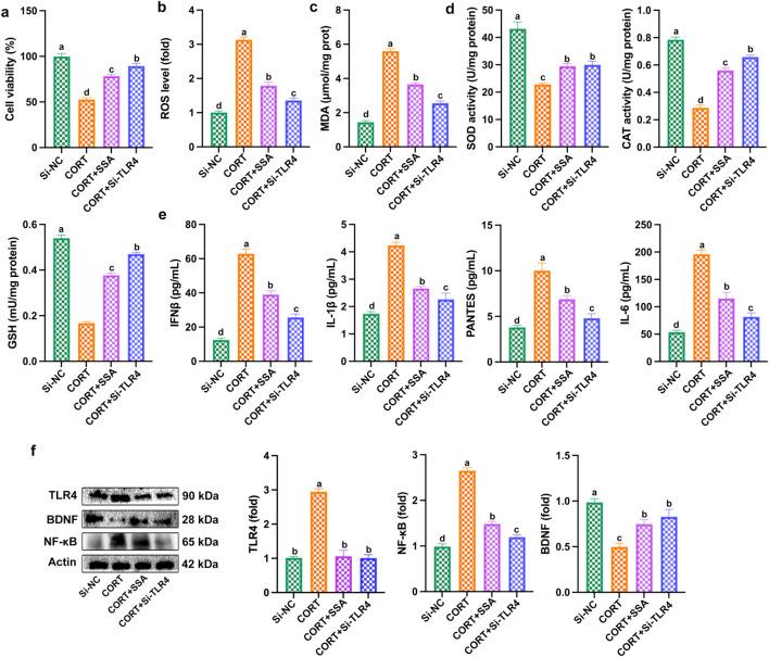 https://cdn.ncbi.nlm.nih.gov/pmc/blobs/9cdc/12122742/f475d96c83c5/fphar-16-1585290-g007.jpg