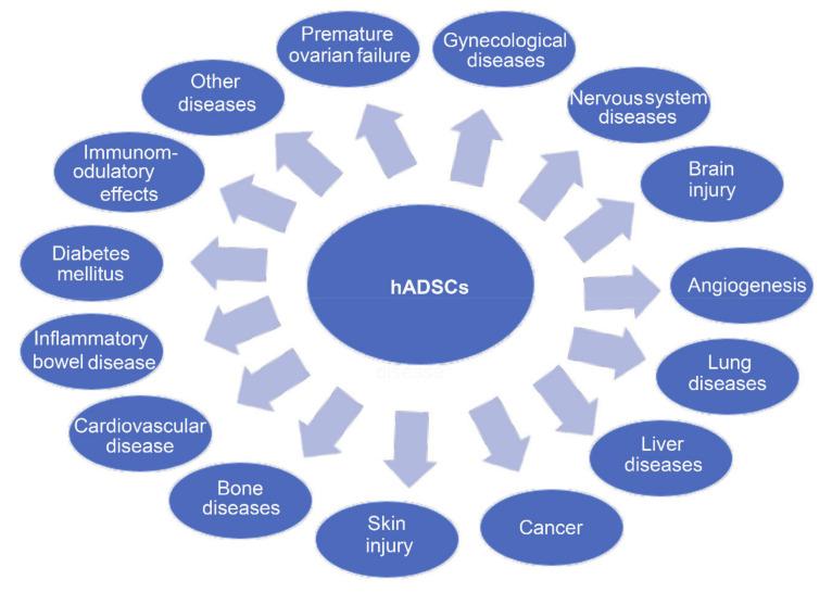https://cdn.ncbi.nlm.nih.gov/pmc/blobs/9cde/7835733/14e0a3e83731/ijms-22-00970-g003.jpg