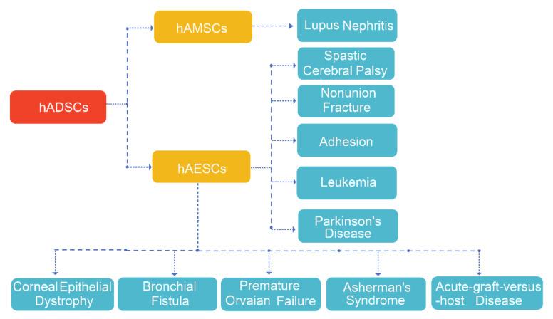 https://cdn.ncbi.nlm.nih.gov/pmc/blobs/9cde/7835733/ebc1811b5cdb/ijms-22-00970-g004.jpg