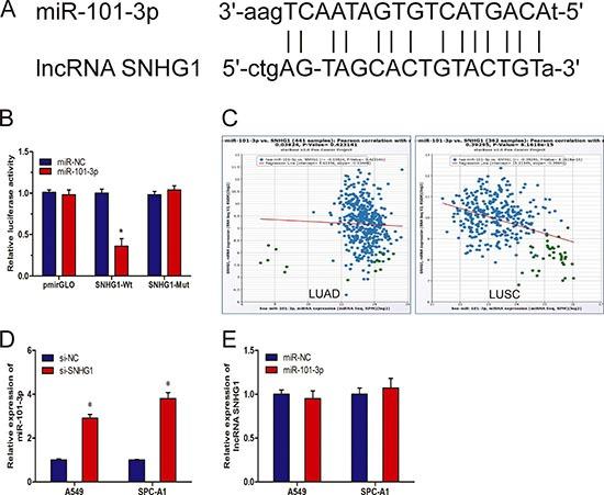 https://cdn.ncbi.nlm.nih.gov/pmc/blobs/9ce0/5392286/0ef428c92bc4/oncotarget-08-17785-g004.jpg