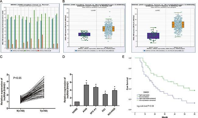 https://cdn.ncbi.nlm.nih.gov/pmc/blobs/9ce0/5392286/171457649871/oncotarget-08-17785-g001.jpg