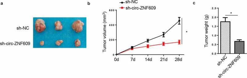 https://cdn.ncbi.nlm.nih.gov/pmc/blobs/9ce0/8291891/7e192f64365b/KBIE_A_1896116_F0003_OC.jpg