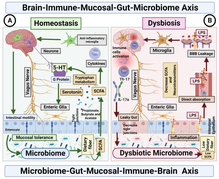 https://cdn.ncbi.nlm.nih.gov/pmc/blobs/9ce1/10376175/651ec5ea66d3/behavsci-13-00548-g002.jpg