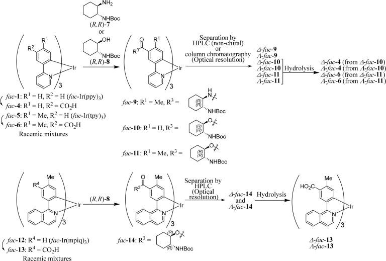 https://cdn.ncbi.nlm.nih.gov/pmc/blobs/9ce2/10369494/cc8188f54683/ic3c00685_0002.jpg