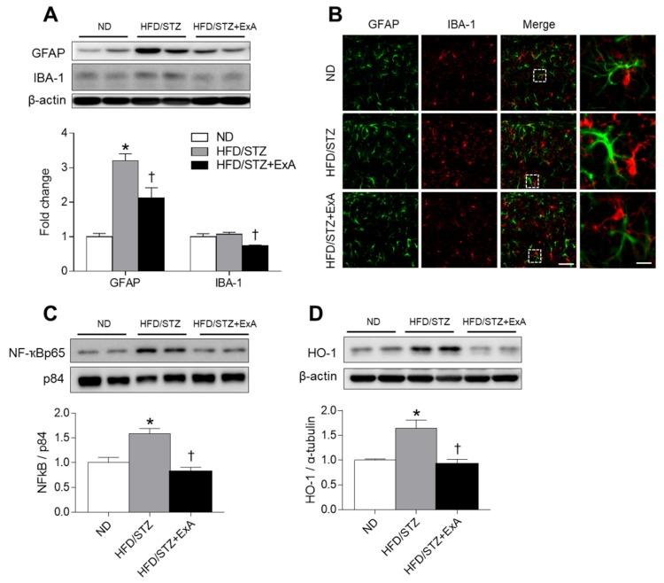 https://cdn.ncbi.nlm.nih.gov/pmc/blobs/9ce2/7076426/50f01e9c10e1/pharmaceutics-12-00159-g006.jpg