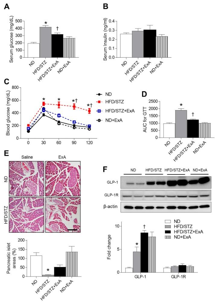 https://cdn.ncbi.nlm.nih.gov/pmc/blobs/9ce2/7076426/ff73542dd776/pharmaceutics-12-00159-g003.jpg