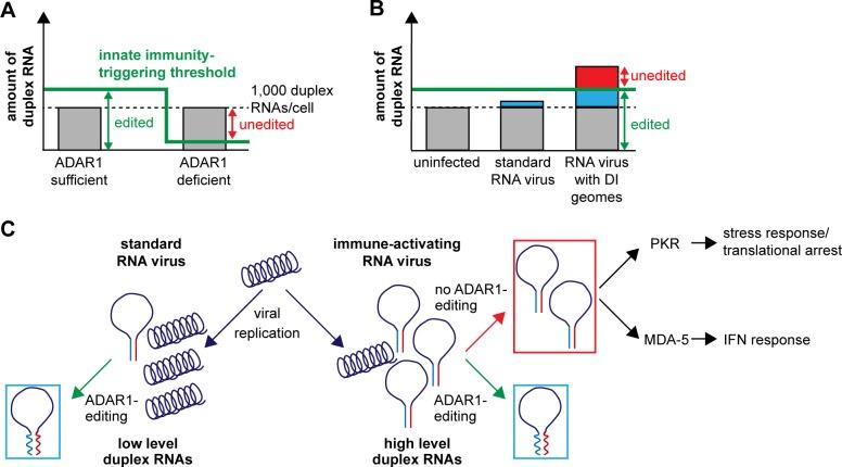 https://cdn.ncbi.nlm.nih.gov/pmc/blobs/9ce4/6264153/924b525ccf56/pbio.2006577.g008.jpg