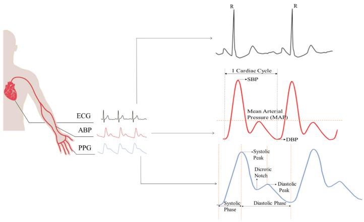 https://cdn.ncbi.nlm.nih.gov/pmc/blobs/9ce4/9145242/ce354f3fc99e/sensors-22-03953-g004.jpg
