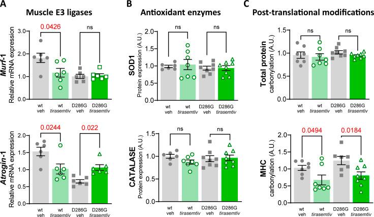 https://cdn.ncbi.nlm.nih.gov/pmc/blobs/9ce5/10876480/a4d8892fafa5/JGP_202313471_Fig8.jpg