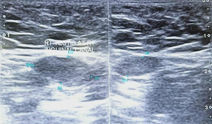 https://cdn.ncbi.nlm.nih.gov/pmc/blobs/9ce5/10964556/e7681c4d89c2/12894_2024_1455_Fig1_HTML.jpg