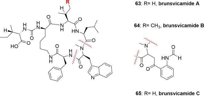 https://cdn.ncbi.nlm.nih.gov/pmc/blobs/9ce6/7291377/adfa28fc1867/fphar-11-00688-g014.jpg