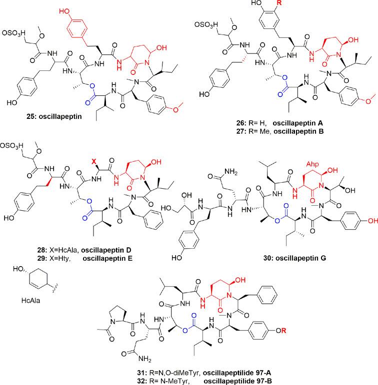 https://cdn.ncbi.nlm.nih.gov/pmc/blobs/9ce6/7291377/f00266a5cb9b/fphar-11-00688-g005.jpg