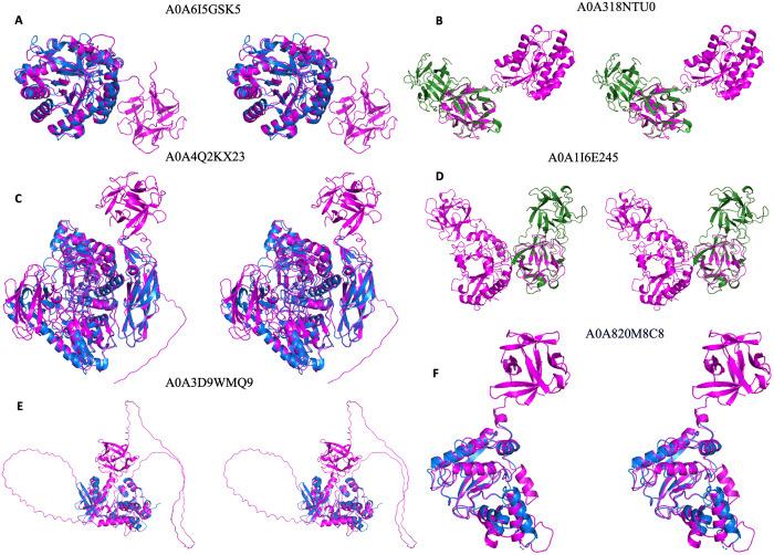 https://cdn.ncbi.nlm.nih.gov/pmc/blobs/9ced/12225799/7a900382ec28/pone.0320177.g004.jpg