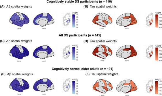 https://cdn.ncbi.nlm.nih.gov/pmc/blobs/9cef/12208798/c8cfd68578d2/ALZ-21-e70424-g001.jpg