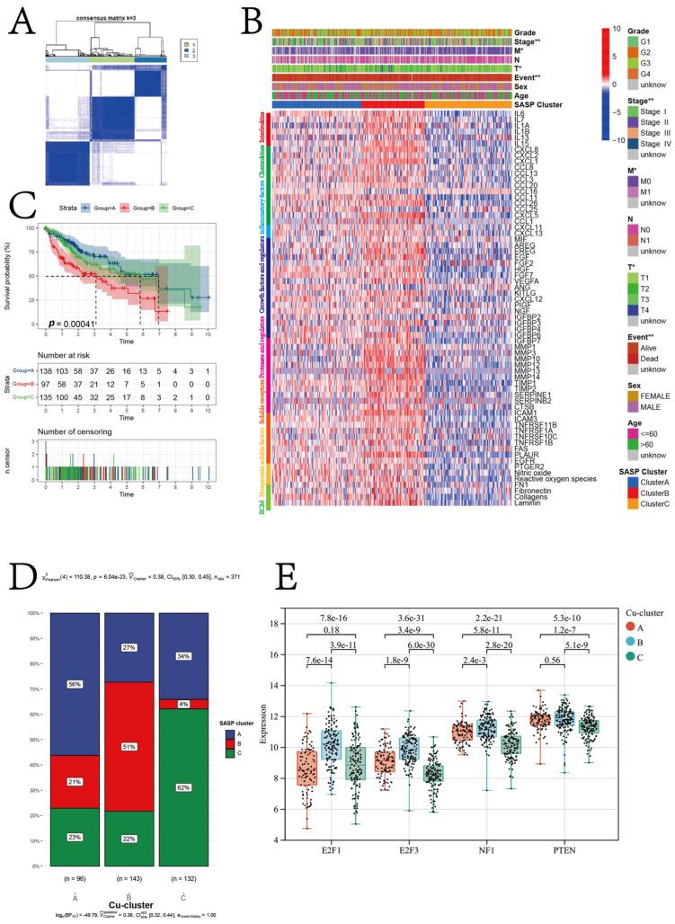 https://cdn.ncbi.nlm.nih.gov/pmc/blobs/9cf0/10531788/96222ef8ba50/jcm-12-05767-g005.jpg