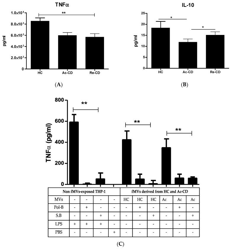 https://cdn.ncbi.nlm.nih.gov/pmc/blobs/9cf0/11642639/5b28f0ba899b/ijms-25-13194-g002a.jpg