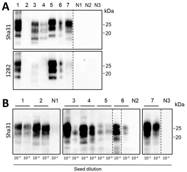 https://cdn.ncbi.nlm.nih.gov/pmc/blobs/9cf1/11845164/a7ea9424a4cb/24-0903-F1.jpg