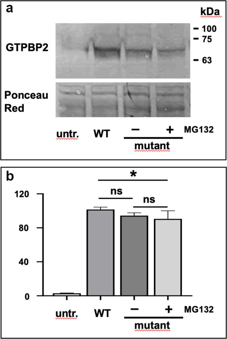 https://cdn.ncbi.nlm.nih.gov/pmc/blobs/9cf4/11840026/466b0f7c1468/41598_2025_89446_Fig5_HTML.jpg