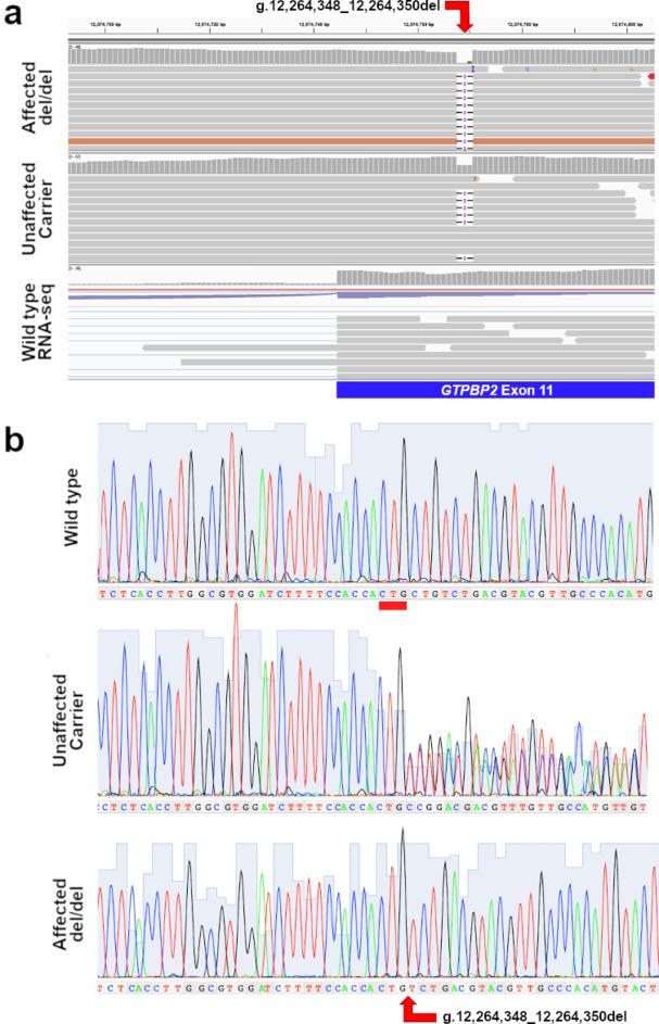 https://cdn.ncbi.nlm.nih.gov/pmc/blobs/9cf4/11840026/89b7f668c419/41598_2025_89446_Fig3_HTML.jpg