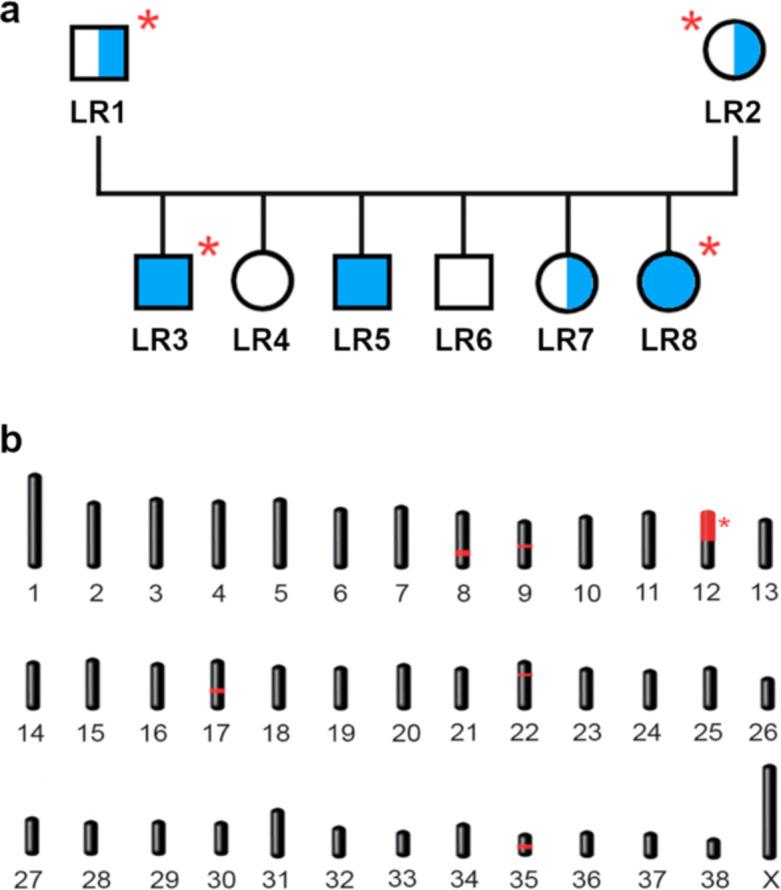 https://cdn.ncbi.nlm.nih.gov/pmc/blobs/9cf4/11840026/df741f1efd92/41598_2025_89446_Fig2_HTML.jpg