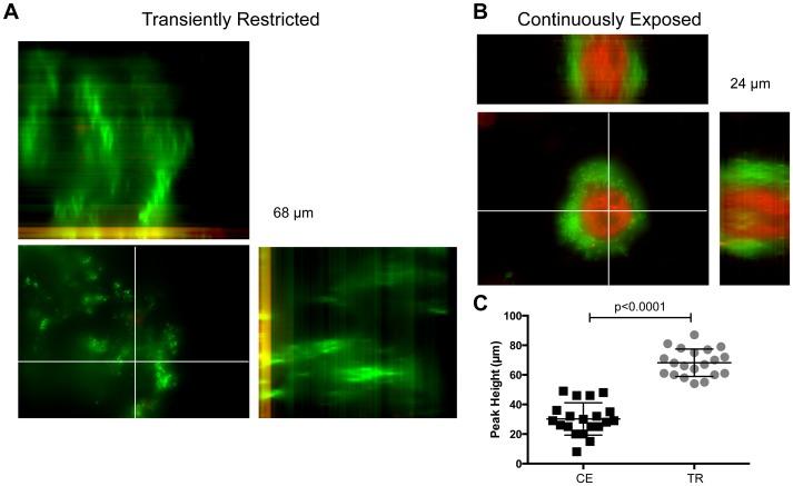 https://cdn.ncbi.nlm.nih.gov/pmc/blobs/9cf5/3795038/40caf6fe5402/ppat.1003709.g002.jpg