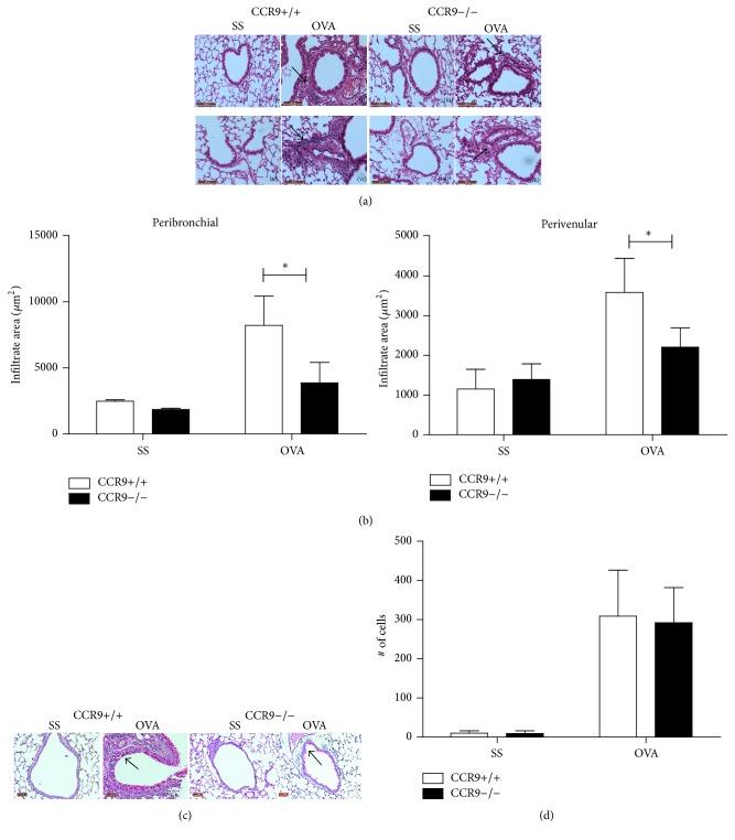https://cdn.ncbi.nlm.nih.gov/pmc/blobs/9cf6/5067335/08db2f56e68a/MI2016-3635809.002.jpg