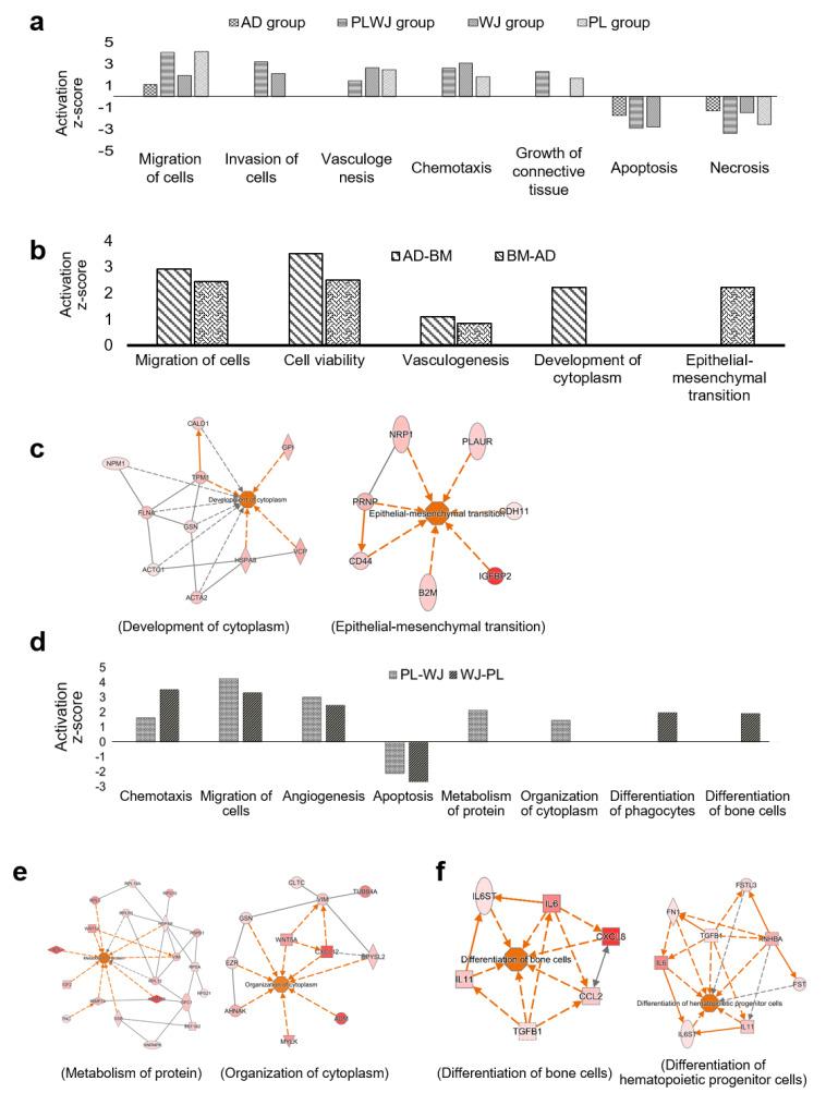 https://cdn.ncbi.nlm.nih.gov/pmc/blobs/9cf6/7829982/587f5c5ccba7/ijms-22-00845-g005.jpg